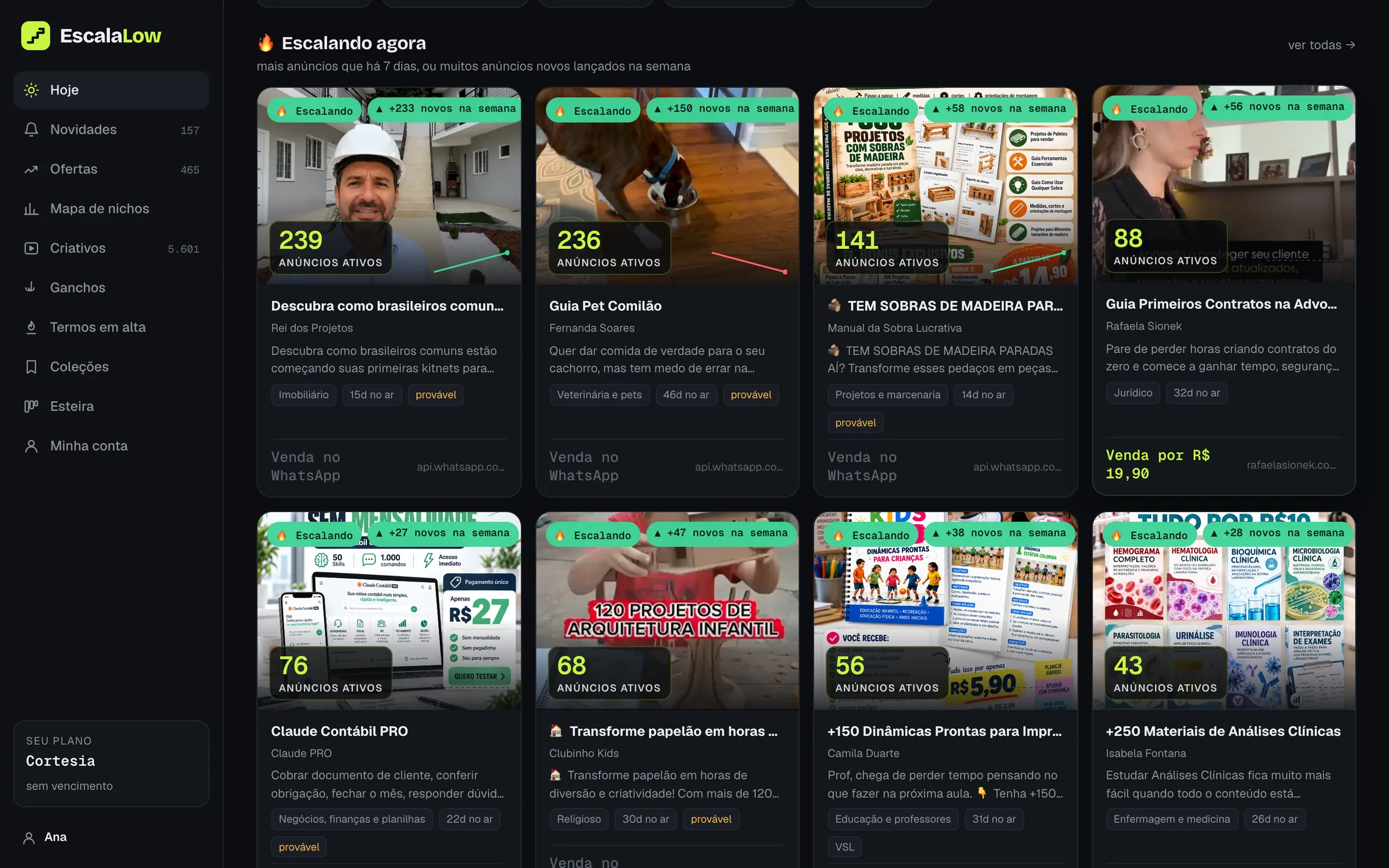 Cards de ofertas escalando com número de anúncios ativos
